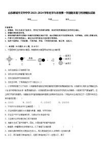 山东聊城市文轩中学2023-2024学年化学九年级第一学期期末复习检测模拟试题含答案