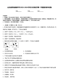 山东省青岛超银中学2023-2024学年九年级化学第一学期期末联考试题含答案