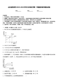 山东省青州市2023-2024学年九年级化学第一学期期末联考模拟试题含答案