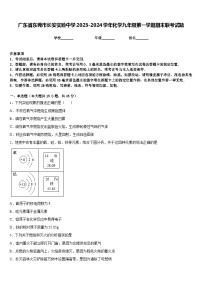 广东省东莞市长安实验中学2023-2024学年化学九年级第一学期期末联考试题含答案