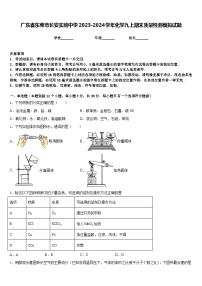 广东省东莞市长安实验中学2023-2024学年化学九上期末质量检测模拟试题含答案