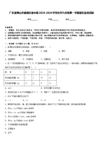 广东省佛山市南海区里水镇2023-2024学年化学九年级第一学期期末监测试题含答案