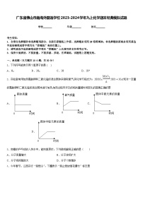 广东省佛山市南海外国语学校2023-2024学年九上化学期末经典模拟试题含答案