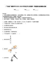 广东省广州四中学2023-2024学年化学九年级第一学期期末监测模拟试题含答案