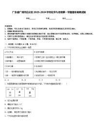 广东省广州市白云区2023-2024学年化学九年级第一学期期末调研试题含答案