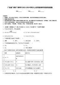 广东省广州市广州中学2023-2024学年九上化学期末教学质量检测试题含答案