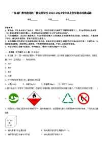 广东省广州市荔湾区广雅实验学校2023-2024学年九上化学期末经典试题含答案