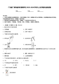 广东省广州市南沙区博海学校2023-2024学年九上化学期末监测试题含答案