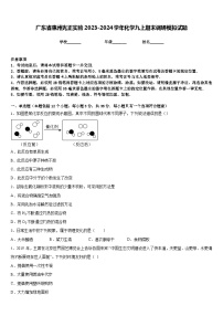 广东省惠州光正实验2023-2024学年化学九上期末调研模拟试题含答案