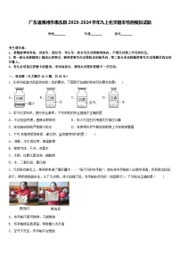 广东省惠州市惠东县2023-2024学年九上化学期末检测模拟试题含答案