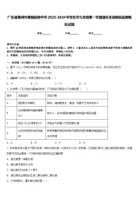 广东省惠州市惠阳高级中学2023-2024学年化学九年级第一学期期末质量跟踪监视模拟试题含答案