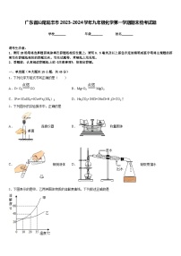 广东省汕尾陆丰市2023-2024学年九年级化学第一学期期末统考试题含答案