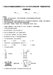 广东省汕头市潮南区陈店明德学校2023-2024学年九年级化学第一学期期末教学质量检测模拟试题含答案