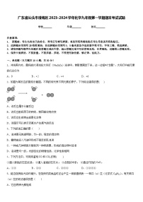 广东省汕头市澄海区2023-2024学年化学九年级第一学期期末考试试题含答案