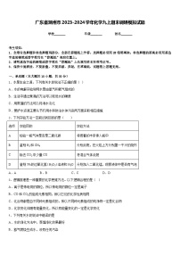 广东省潮州市2023-2024学年化学九上期末调研模拟试题含答案