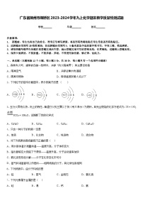 广东省潮州市湘桥区2023-2024学年九上化学期末教学质量检测试题含答案