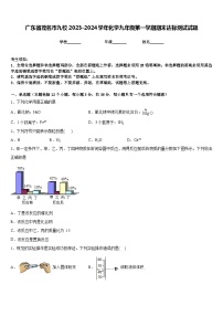 广东省茂名市九校2023-2024学年化学九年级第一学期期末达标测试试题含答案