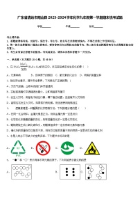 广东省清远市阳山县2023-2024学年化学九年级第一学期期末统考试题含答案