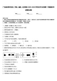 广东省深圳市宝安、罗湖、福田、龙华四区2023-2024学年化学九年级第一学期期末考试模拟试题含答案