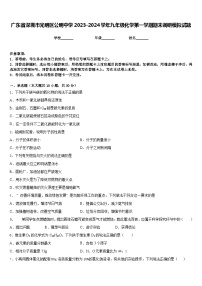 广东省深圳市光明区公明中学2023-2024学年九年级化学第一学期期末调研模拟试题含答案