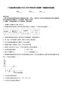 广东省深圳市龙岗区2023-2024学年化学九年级第一学期期末检测试题含答案