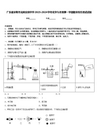 广东省深圳市龙岗实验中学2023-2024学年化学九年级第一学期期末综合测试试题含答案
