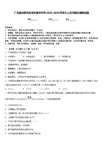 广东省深圳市龙华区新华中学2023-2024学年九上化学期末调研试题含答案