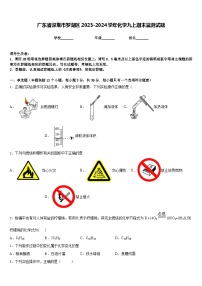 广东省深圳市罗湖区2023-2024学年化学九上期末监测试题含答案