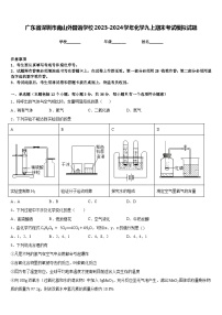 广东省深圳市南山外国语学校2023-2024学年化学九上期末考试模拟试题含答案