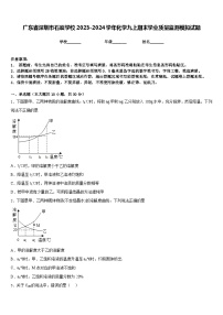 广东省深圳市石厦学校2023-2024学年化学九上期末学业质量监测模拟试题含答案