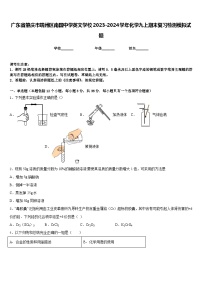 广东省肇庆市端州区南国中学英文学校2023-2024学年化学九上期末复习检测模拟试题含答案