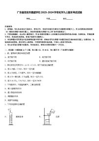 广东省茂名市直属学校2023-2024学年化学九上期末考试试题含答案