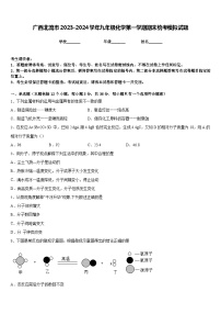 广西北流市2023-2024学年九年级化学第一学期期末统考模拟试题含答案