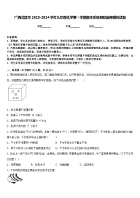 广西北流市2023-2024学年九年级化学第一学期期末质量跟踪监视模拟试题含答案