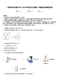 广西来宾市忻城县2023-2024学年化学九年级第一学期期末统考模拟试题含答案