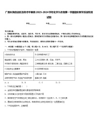 广西壮族自治区百色市平果县2023-2024学年化学九年级第一学期期末教学质量检测试题含答案