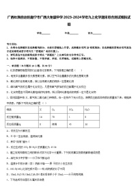 广西壮族自治区南宁市广西大附属中学2023-2024学年九上化学期末综合测试模拟试题含答案