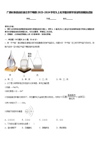 广西壮族自治区崇左市宁明县2023-2024学年九上化学期末教学质量检测模拟试题含答案