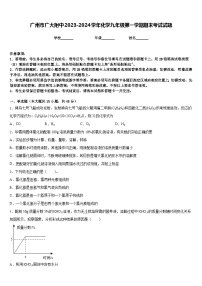 广州市广大附中2023-2024学年化学九年级第一学期期末考试试题含答案