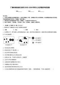 广西壮族自治区玉林市2023-2024学年九上化学期末考试试题含答案
