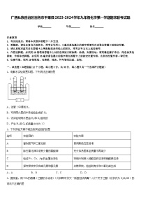 广西壮族自治区百色市平果县2023-2024学年九年级化学第一学期期末联考试题含答案