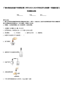 广西壮族自治区南宁市青秀区第二中学2023-2024学年化学九年级第一学期期末复习检测模拟试题含答案