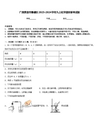 广西贵港市覃塘区2023-2024学年九上化学期末联考试题含答案