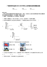 广西河池市凤山县2023-2024学年九上化学期末达标检测模拟试题含答案