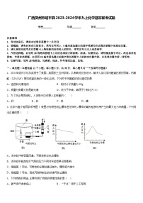 广西贺州市昭平县2023-2024学年九上化学期末联考试题含答案