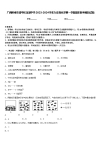 广西柳州市城中区龙城中学2023-2024学年九年级化学第一学期期末联考模拟试题含答案