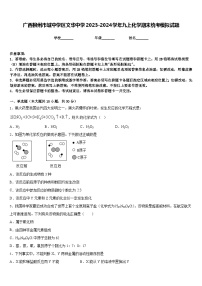 广西柳州市城中学区文华中学2023-2024学年九上化学期末统考模拟试题含答案