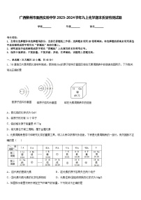 广西柳州市壶西实验中学2023-2024学年九上化学期末质量检测试题含答案