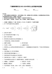 广西柳州市柳江区2023-2024学年九上化学期末考试试题含答案