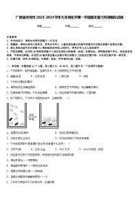 广西省河池市2023-2024学年九年级化学第一学期期末复习检测模拟试题含答案